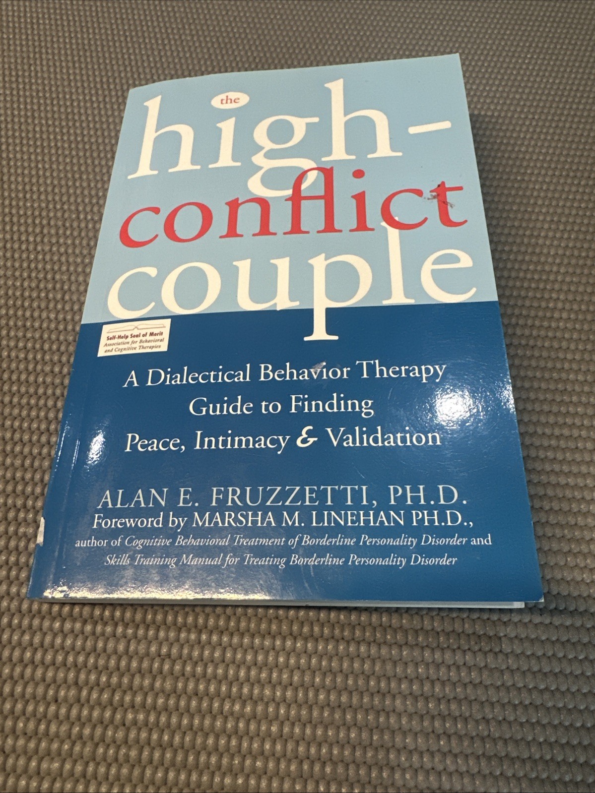 The High-Conflict Couple: A Dialectical Behavior Therapy Guide…