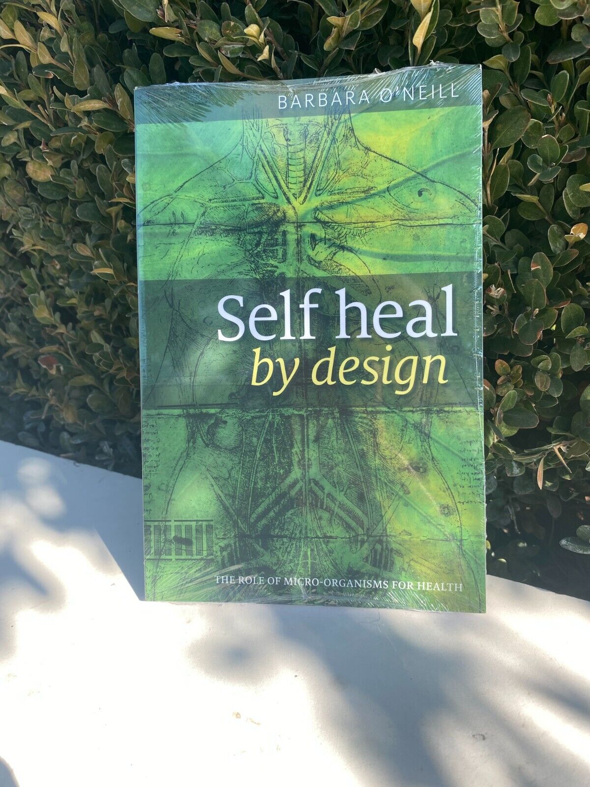Self Heal by Design book by Barbara O\'Neill Newest Edition (FACTORY SEALED)