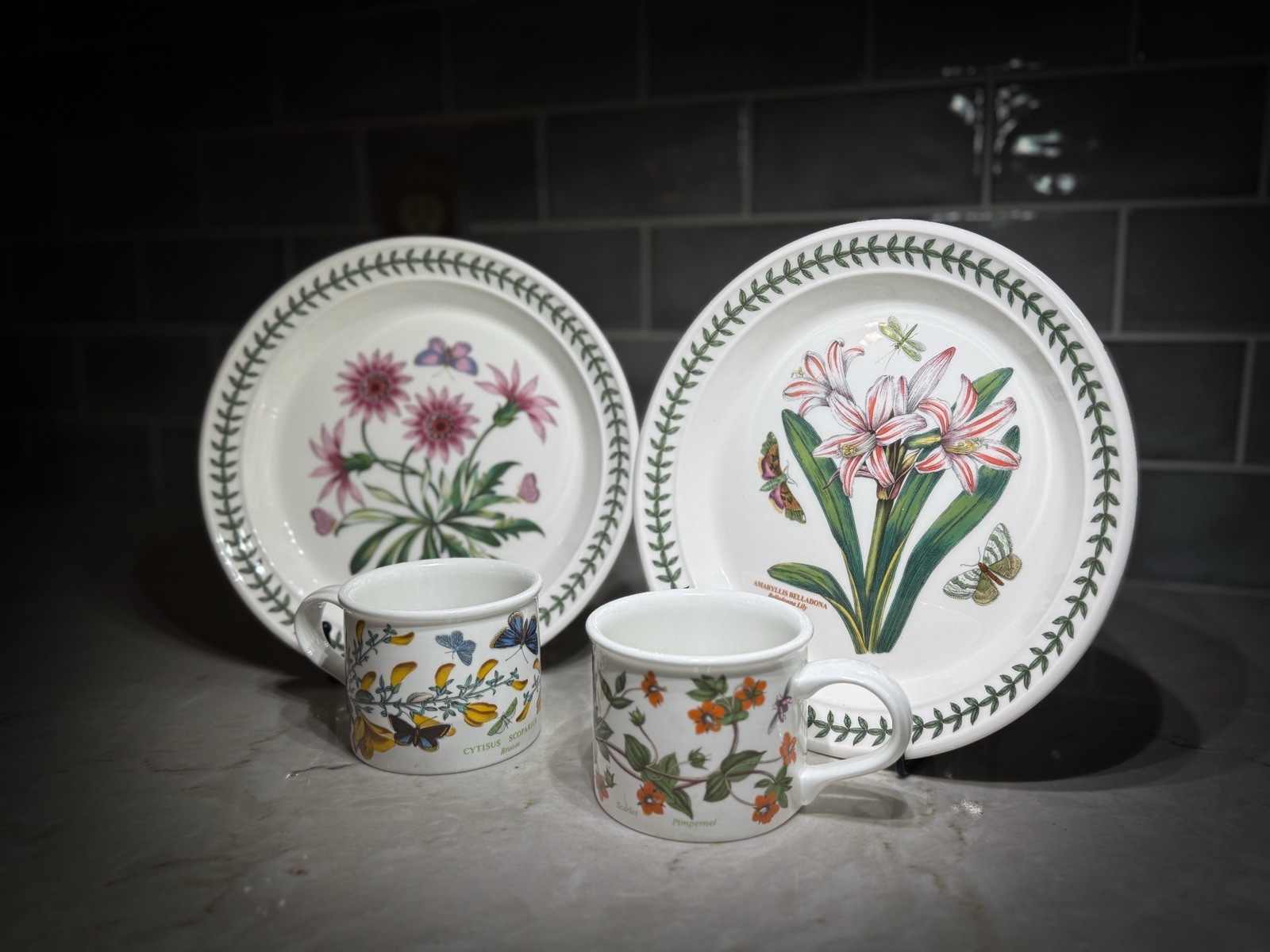 NEW Portmeirion Botanic Garden Set 2 Mugs + 2 Salad Plates Gazania Belladonna