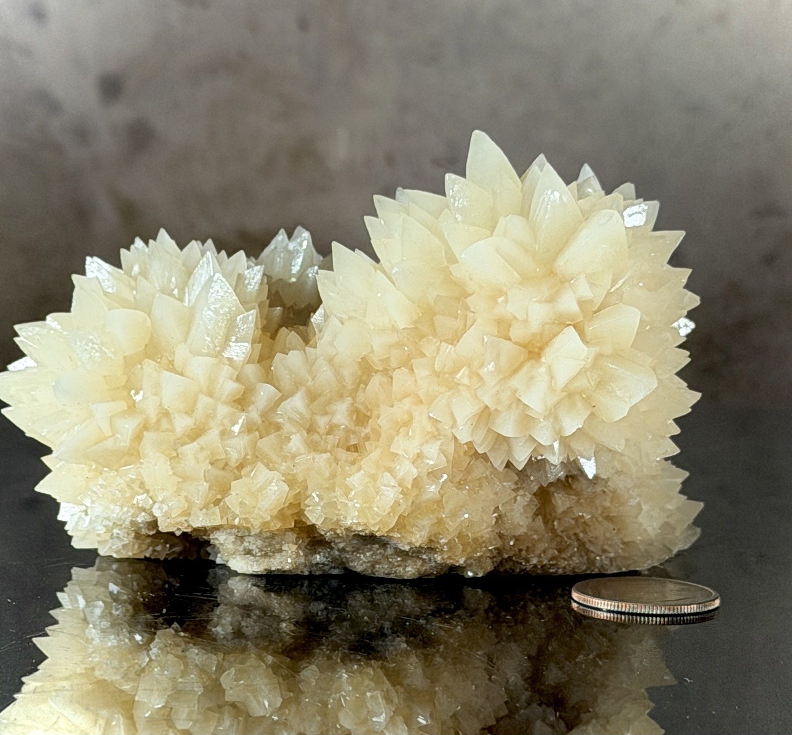 Scalenohedral Calcite Crystal Cluster — Yunnan Province, 748g 'Porcupine' Ros... Scalenohedral Calcite Crystal Cluster — Yunnan Province, 748g 'Porcupine' Ros...