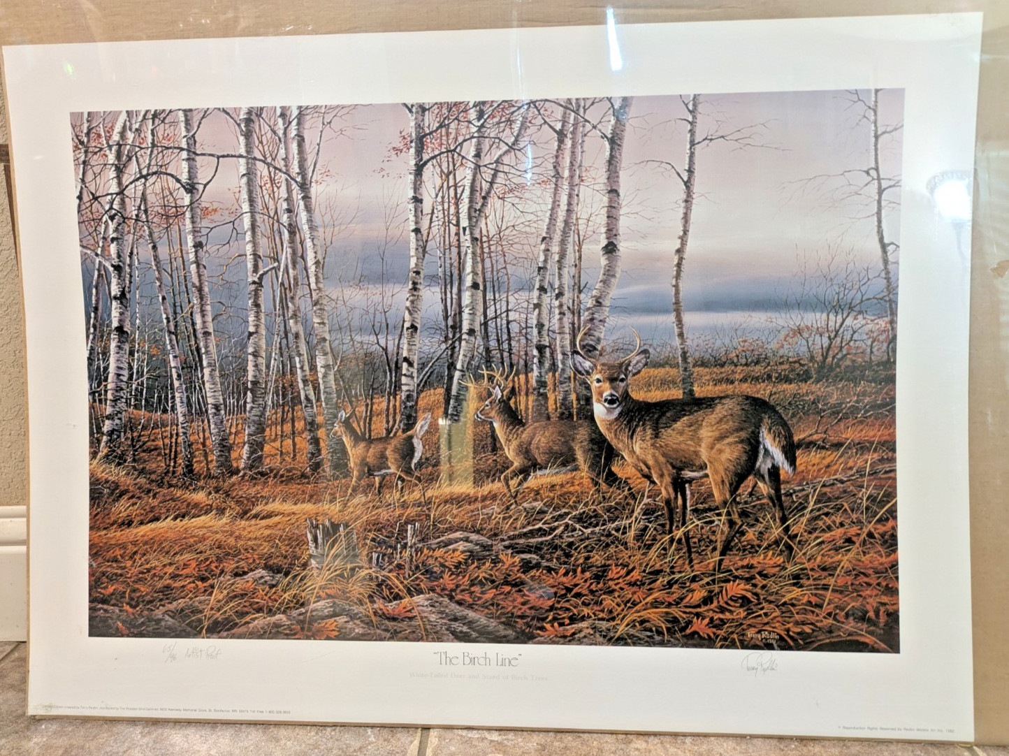 Terry Redlin The Birch Line Signed Artist Proof 65/96 Lithograph Deer Print COA