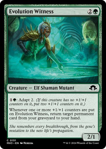 Evolution Witness NM MTG Modern Horizons 3 MH3 Green Elf Adapt Counters Regular Evolution Witness NM MTG Modern Horizons 3 MH3 Green Elf Adapt Counters Regular