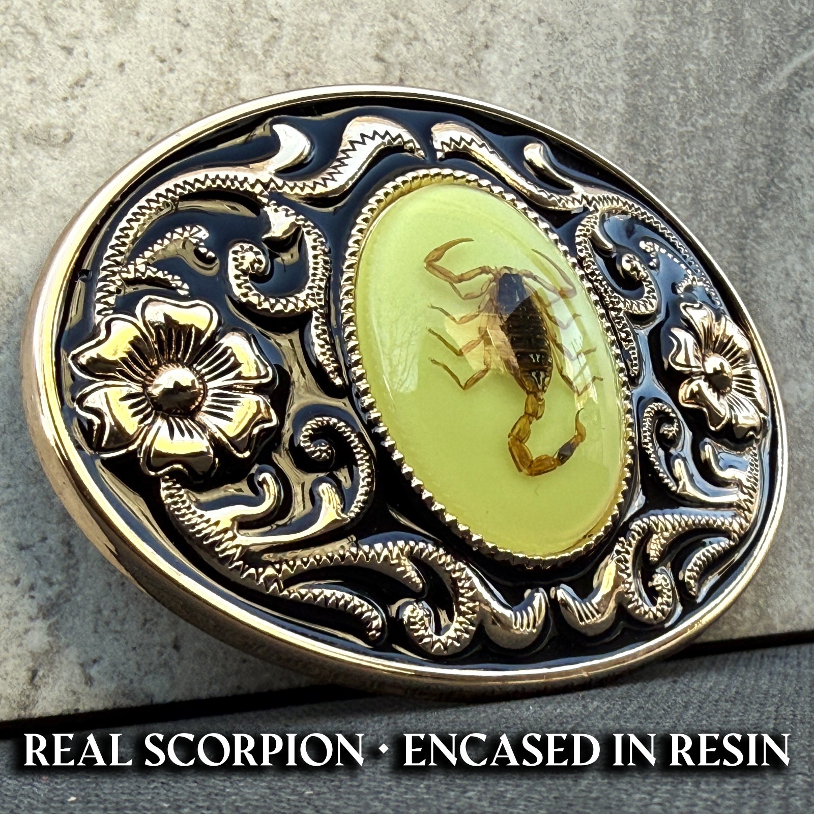 Western Scorpion Belt Buckle Real Scorpion Resin Glow in Dark. For 1.5\