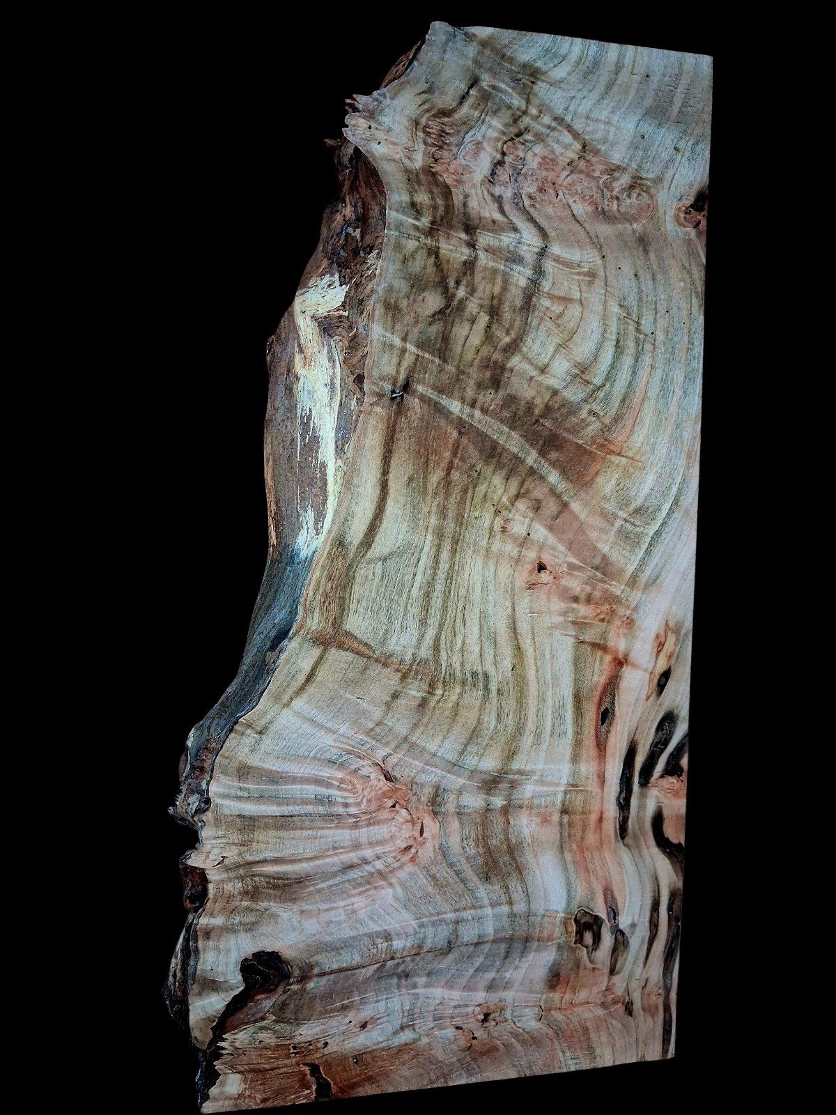 XL MIND BLOWING Curly Birdseye MAPLE BURL WOOD BLANK, WORMY Maple, EPOXY WOOD 