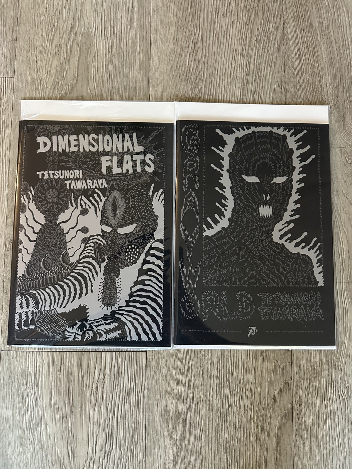 TETSUNORI TAWARAYA / GREY WORLDS/DIMENSIONAL FLATS  RARE OOP