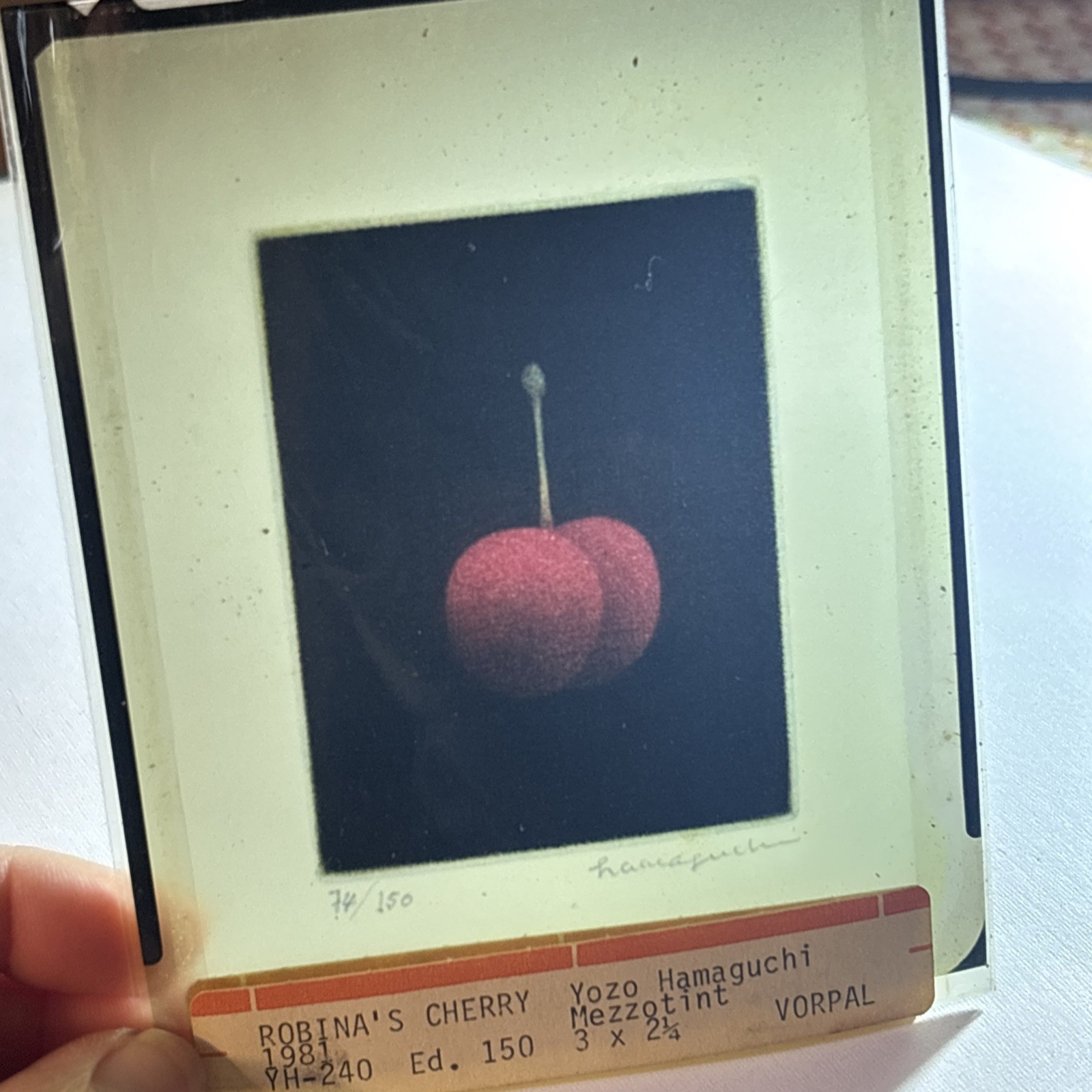 Yozo Hamaguchi Signed Mezzotint Print Robina’s Cherry 1981 Limited Edition Art