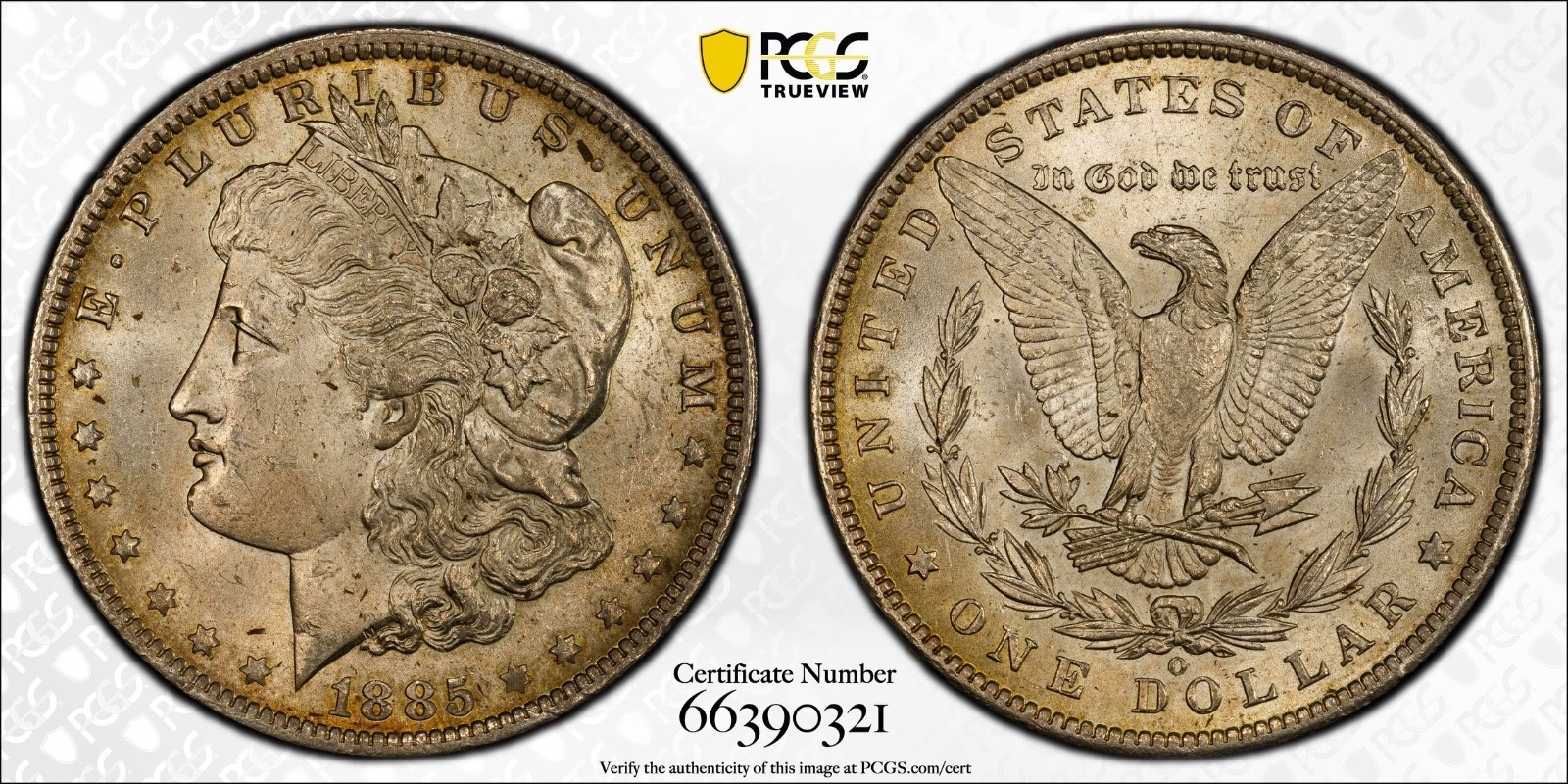 1885-O PCGS MS 64 Morgan Silver Dollar $1 - Gold Shield/True View Holder 1885-O PCGS MS 64 Morgan Silver Dollar $1 - Gold Shield/True View Holder