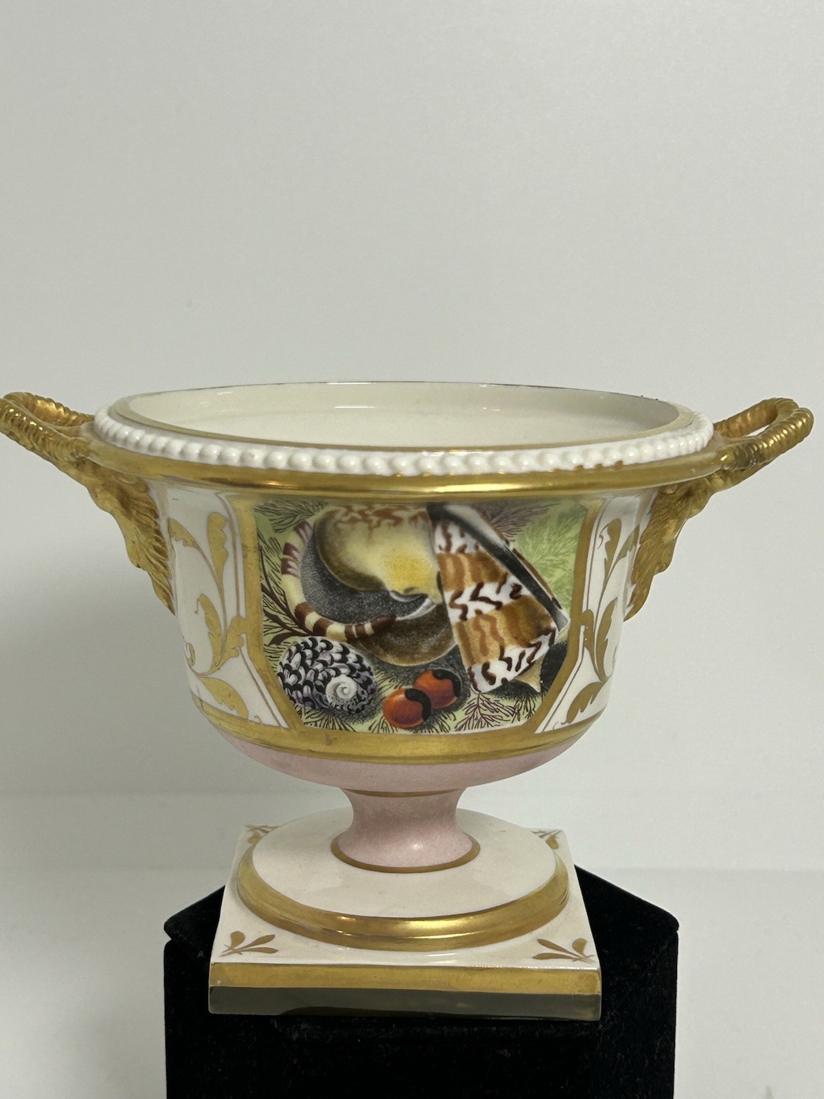 Rare Antique Conchological Campana /Urn Italy Barr Flight Barr Style Rare Antique Conchological Campana /Urn Italy Barr Flight Barr Style