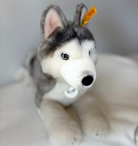 Steiff Bernie Siberian Husky Grey Wolf Dog Pup Plush Realistic Laying New 20\