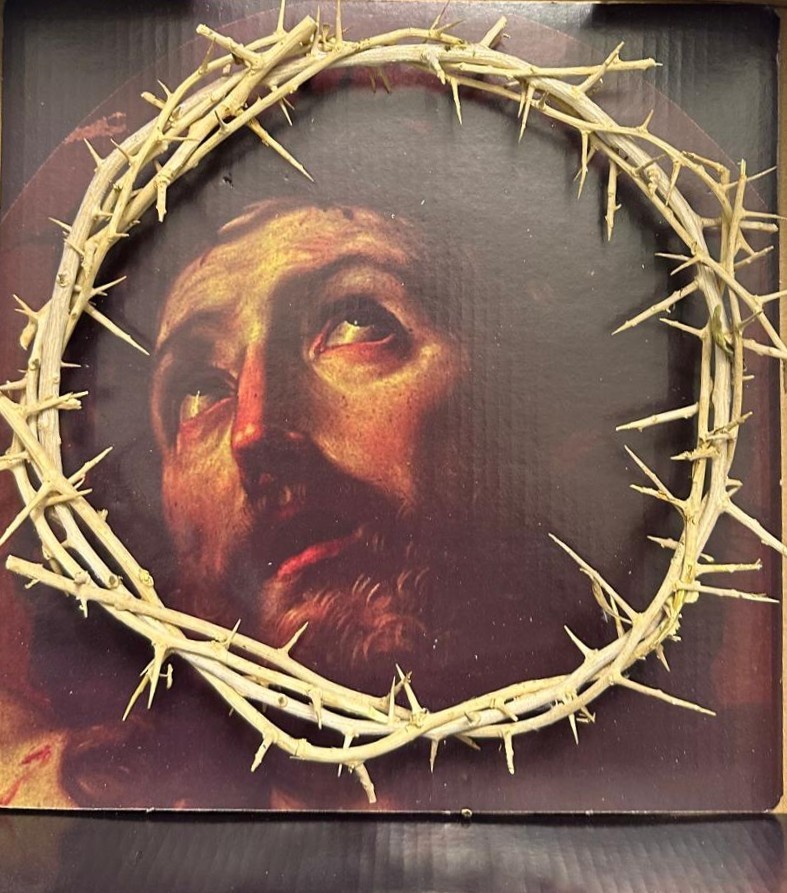 2 PCS Crowns Jesus Thorns Hand Made authentic Original plant Jerusalem Holy Land