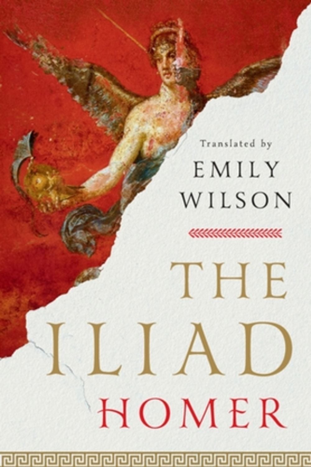 The Iliad by Homer Paperback Book
