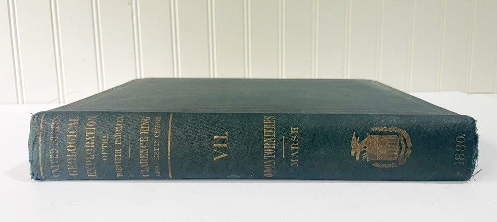 1880 FIRST EDITION Marsh Odontornithes Extinct Toothed Birds 34 Plates RARE
