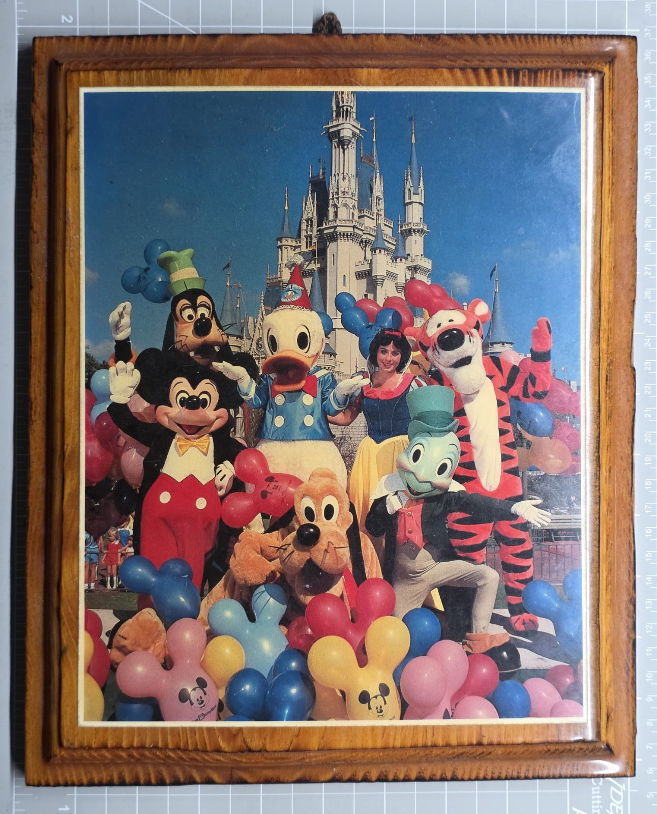 Vintage Walt Disney Donald Duck 50th Birthday Wall Plaque Photo Impact Florida  