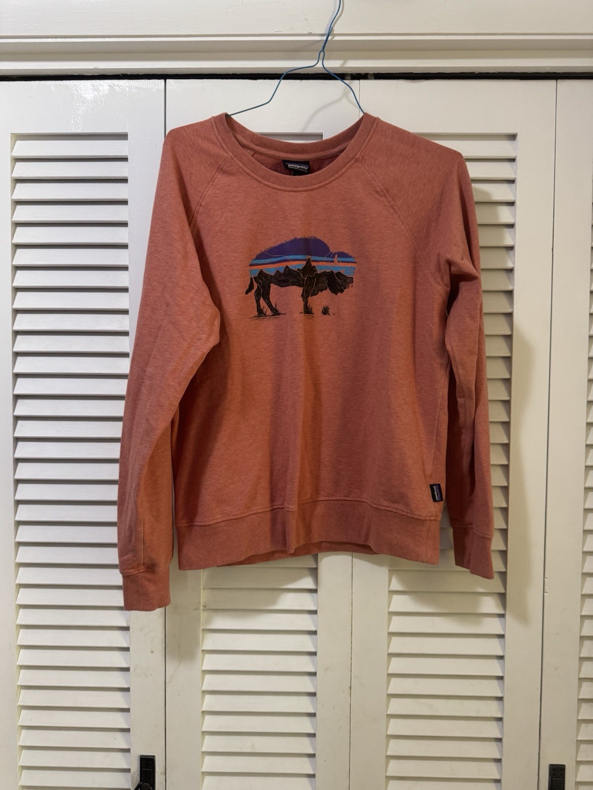 Patagonia Fitz Roy Bison Ahnya Crew Sweatshirt Womens L Rust Organic Cotton