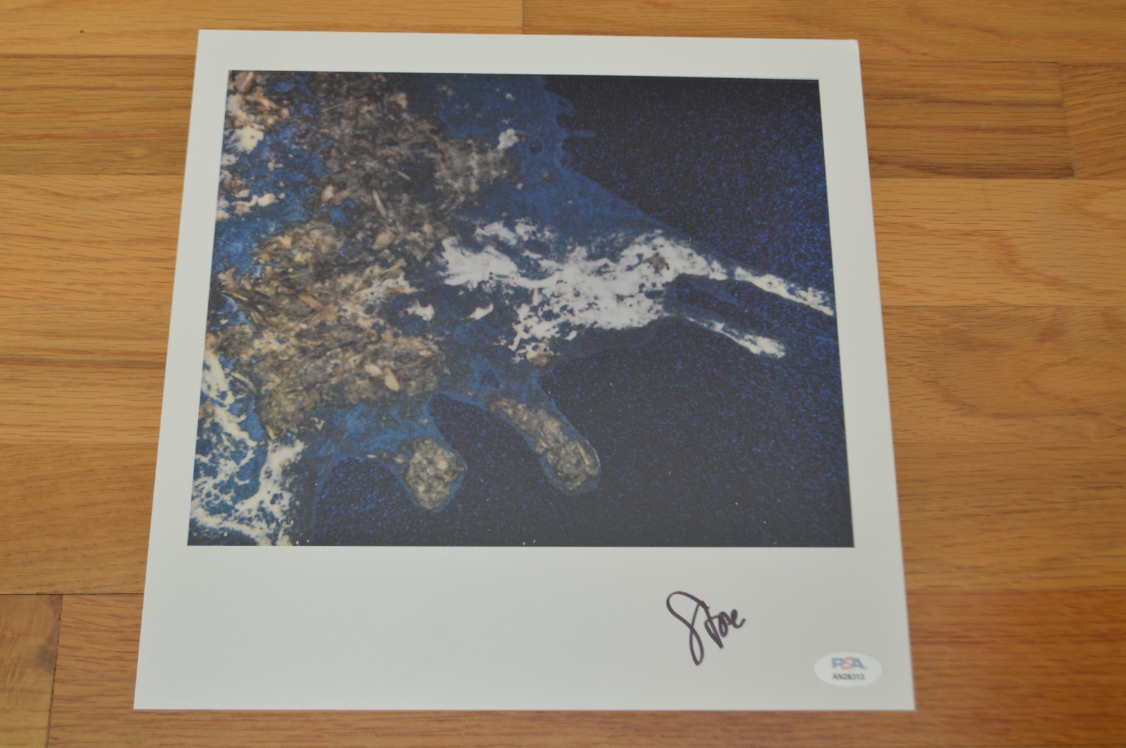 Pearl Jam ~ Stone Gossard Autographed 12x12 \