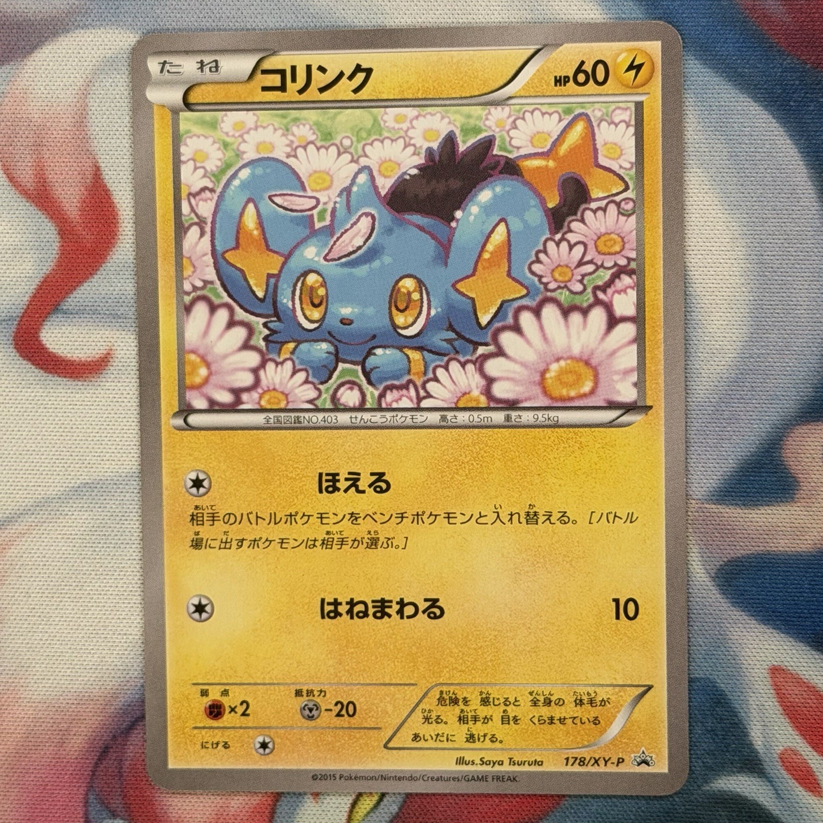 Shinx 178/XY-P 2015 Promo Double Mega Break Set Japanese Pokemon Card LP+