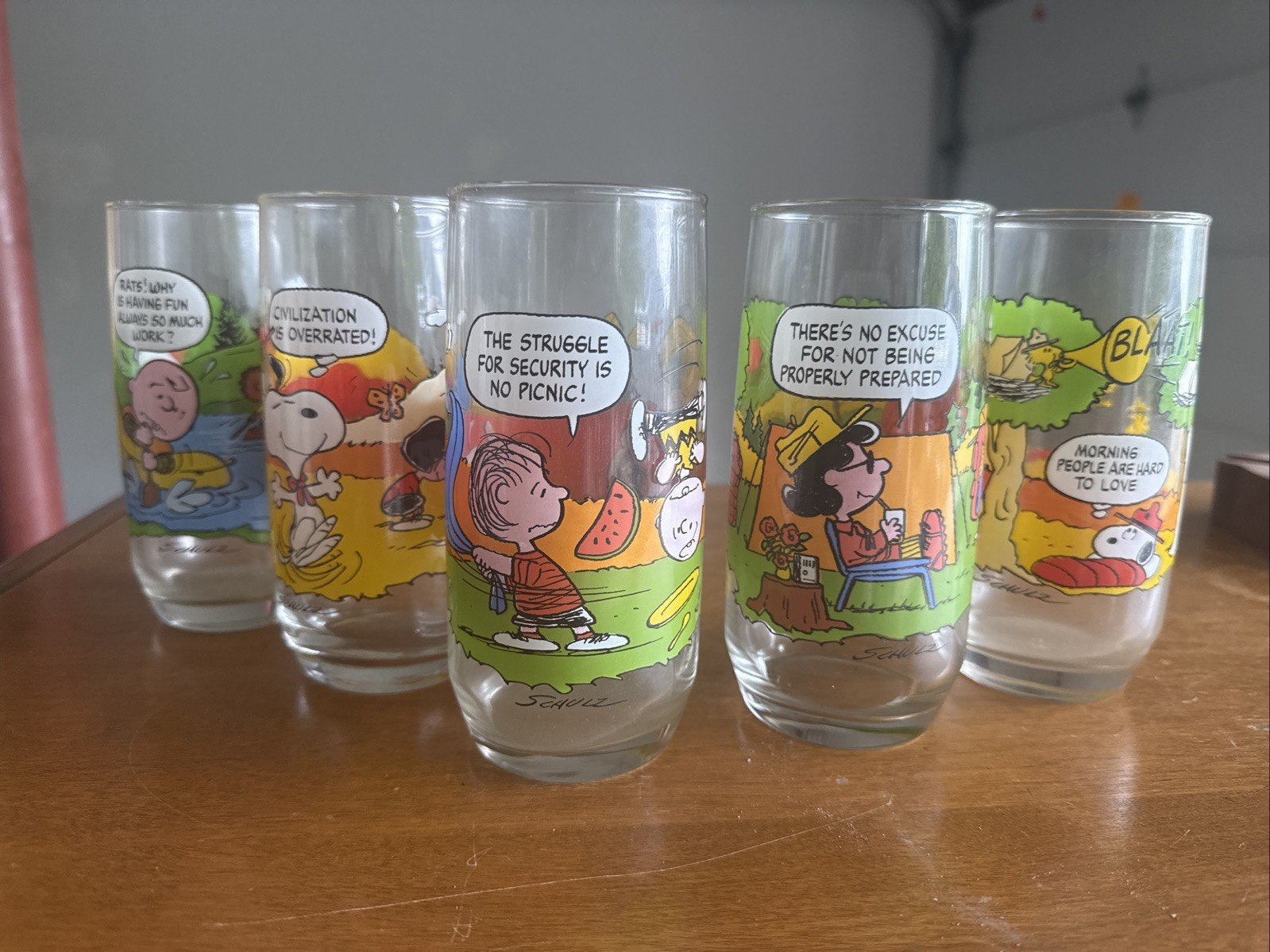 Vintage 1983 McDonald's Peanuts Camp Snoopy Collectors Glasses Complete Set of 5