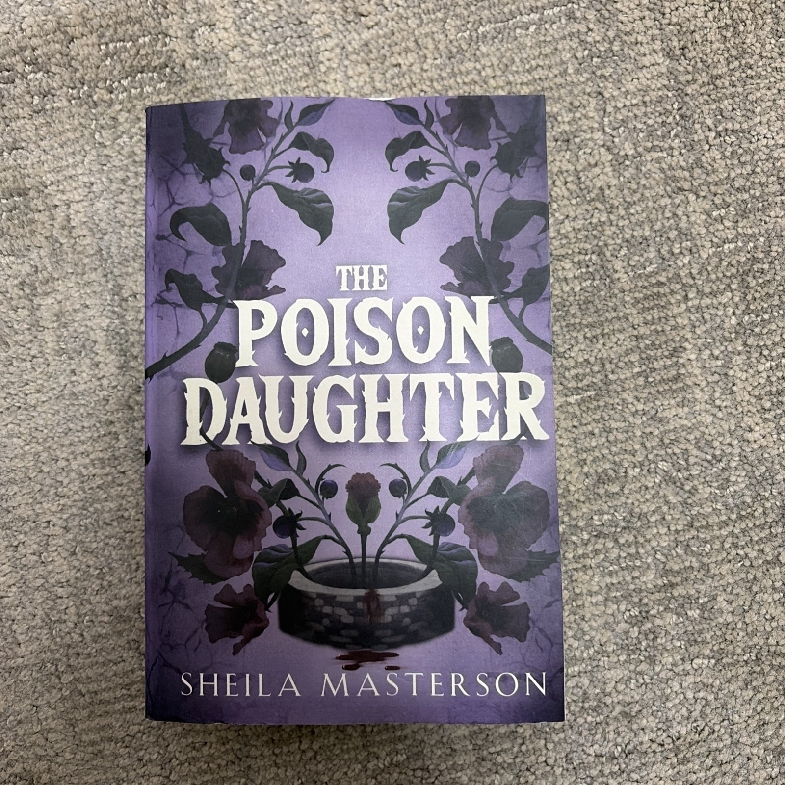 The Poison Daughter by Sheila Masterson Paperback Fantasy Romance
