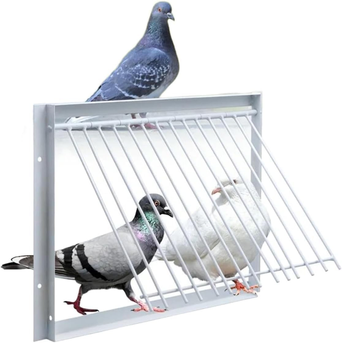 11.8In/30Cm Iron Wire Way Trap Door for Bird Traps, Pigeon Cage, and Squirrel En 11.8In/30Cm Iron Wire Way Trap Door for Bird Traps, Pigeon Cage, and Squirrel En