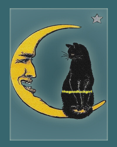 5x7 Vintage 1917 BLACK CAT SITTING ON MOON kitten Postcard art print picture 5x7 Vintage 1917 BLACK CAT SITTING ON MOON kitten Postcard art print picture