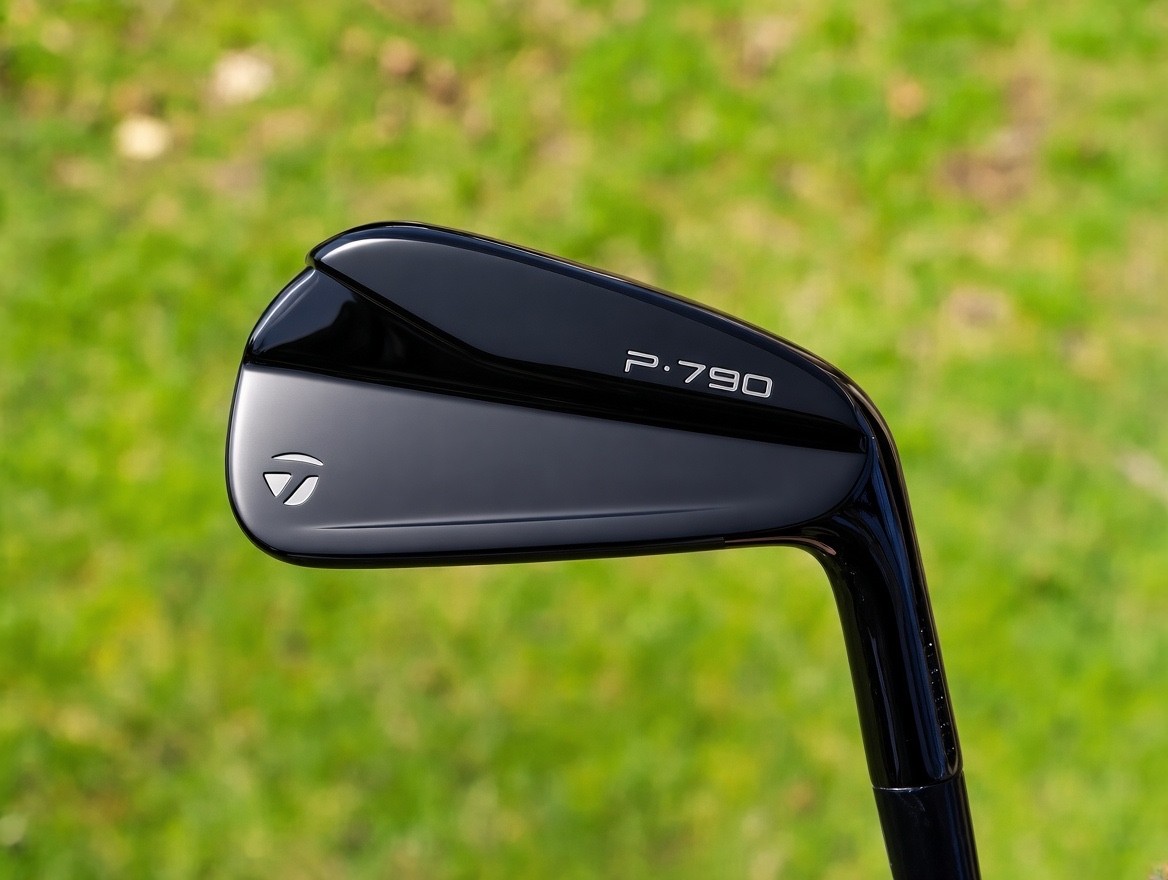 TaylorMade P790 Black Iron Set 4-PW Dynamic Gold 105 S300 Shafts BRAND NEW