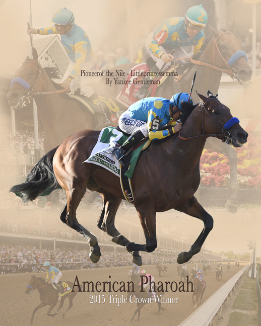 American Pharoah 2015 Triple Crown Collage Photo 8