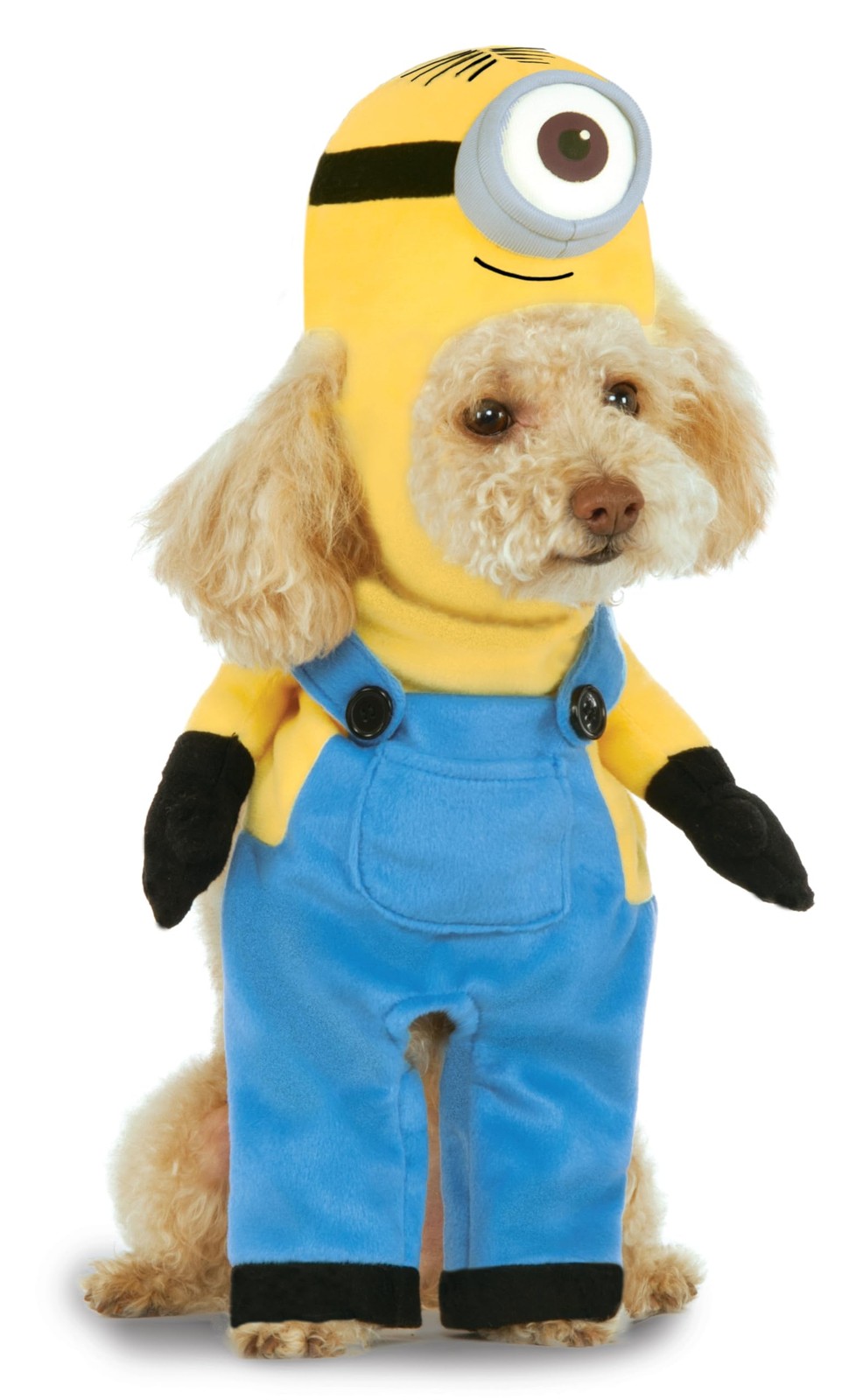 Rubies Despicable Me Minion Stuart Pet Costume Medium for Dogs or Cats