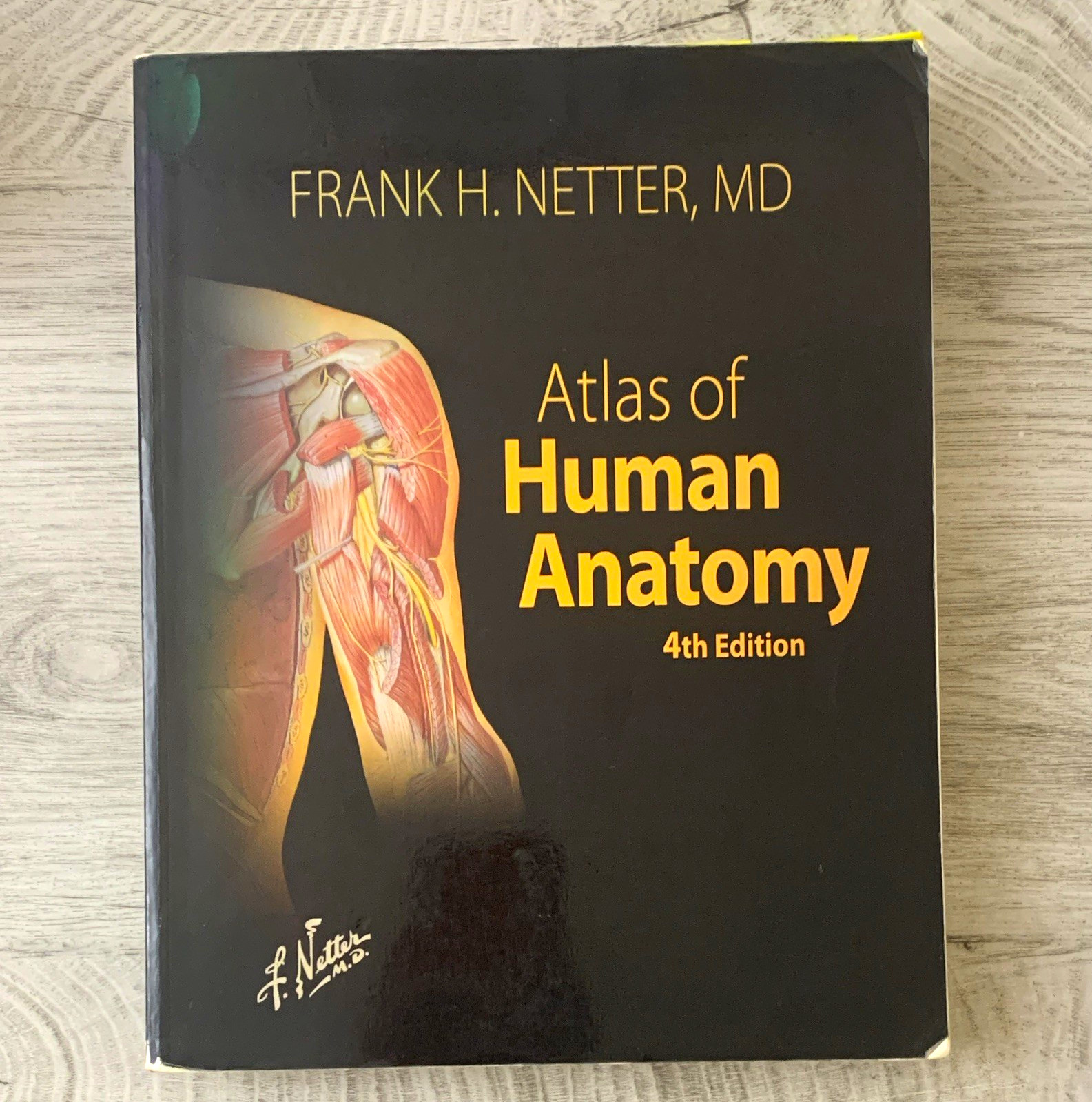 Atlas of Human Anatomy 4th Ed PB 2006 Frank H. Netter Saunders Elsevier