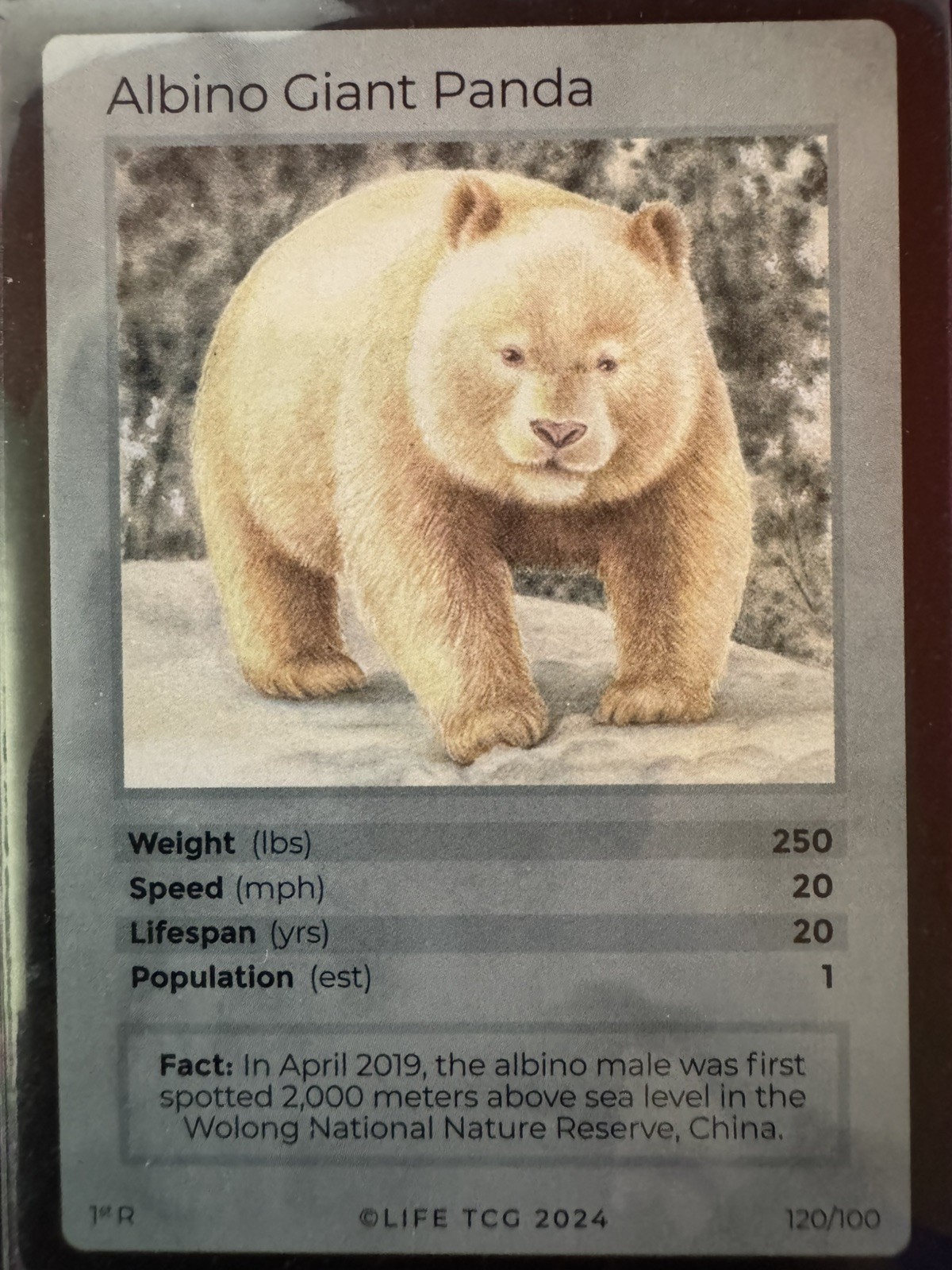 Life TCG Mammals 120/100 Albino Giant Panda. 1/1000 population.