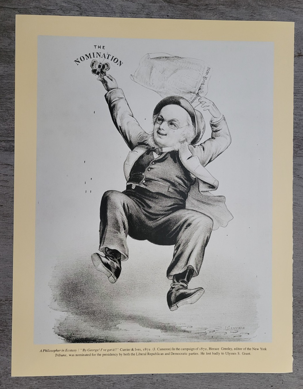 HORACE GREELEY 1872 NOMINATED PRESIDENT James Cameron Currier Ives 15x12\