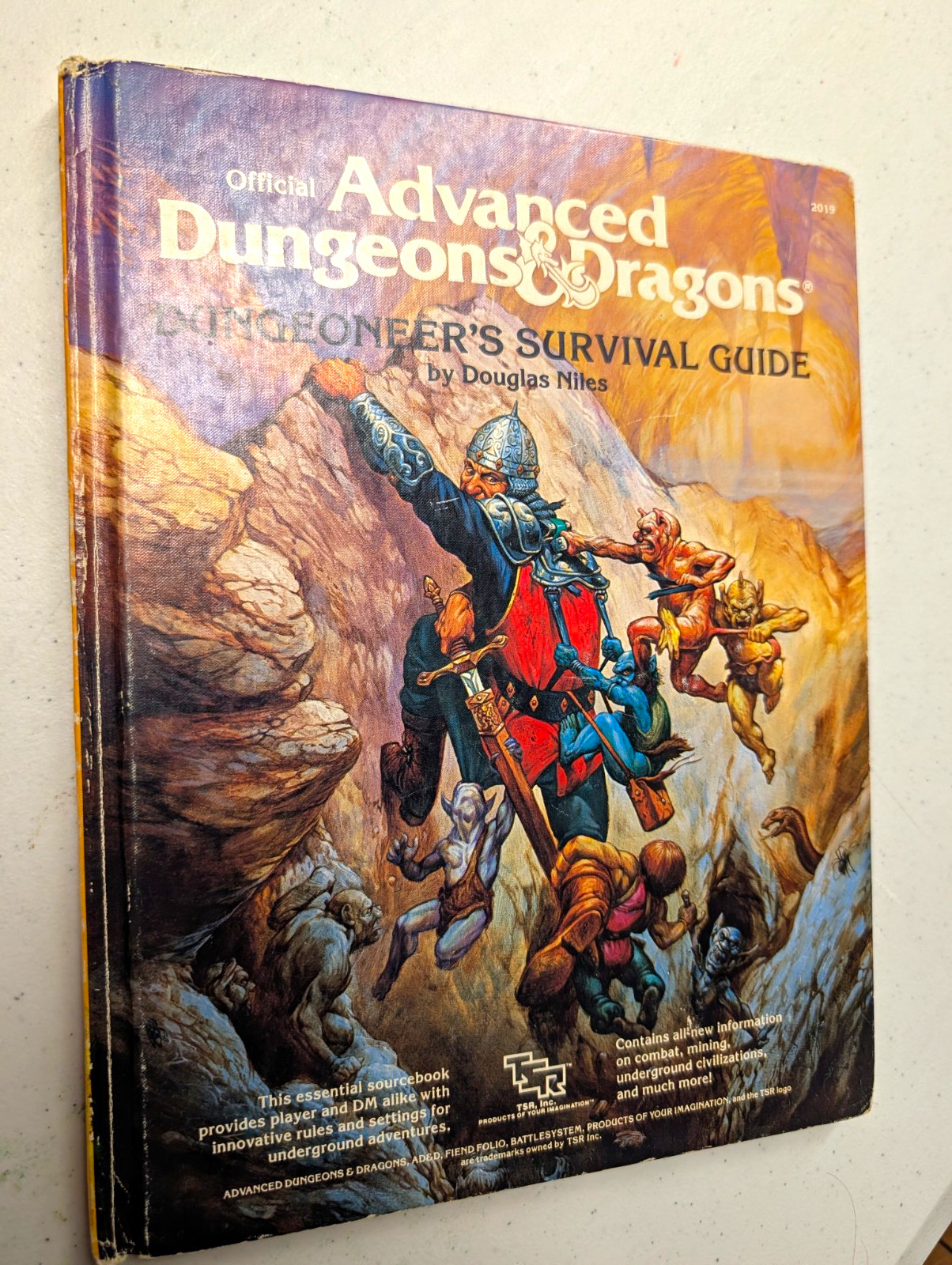 TSR Advanced Dungeons & Dragons Player\'s Survival Guide 2019 Age 12+ TSR Advanced Dungeons & Dragons Player\'s Survival Guide 2019 Age 12+