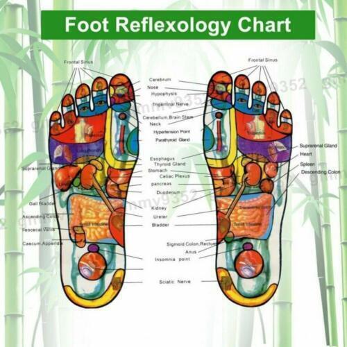 50pcs Detox Foot Patches Pads Body Toxins Feet Slimming Deep Cleansing Herbal