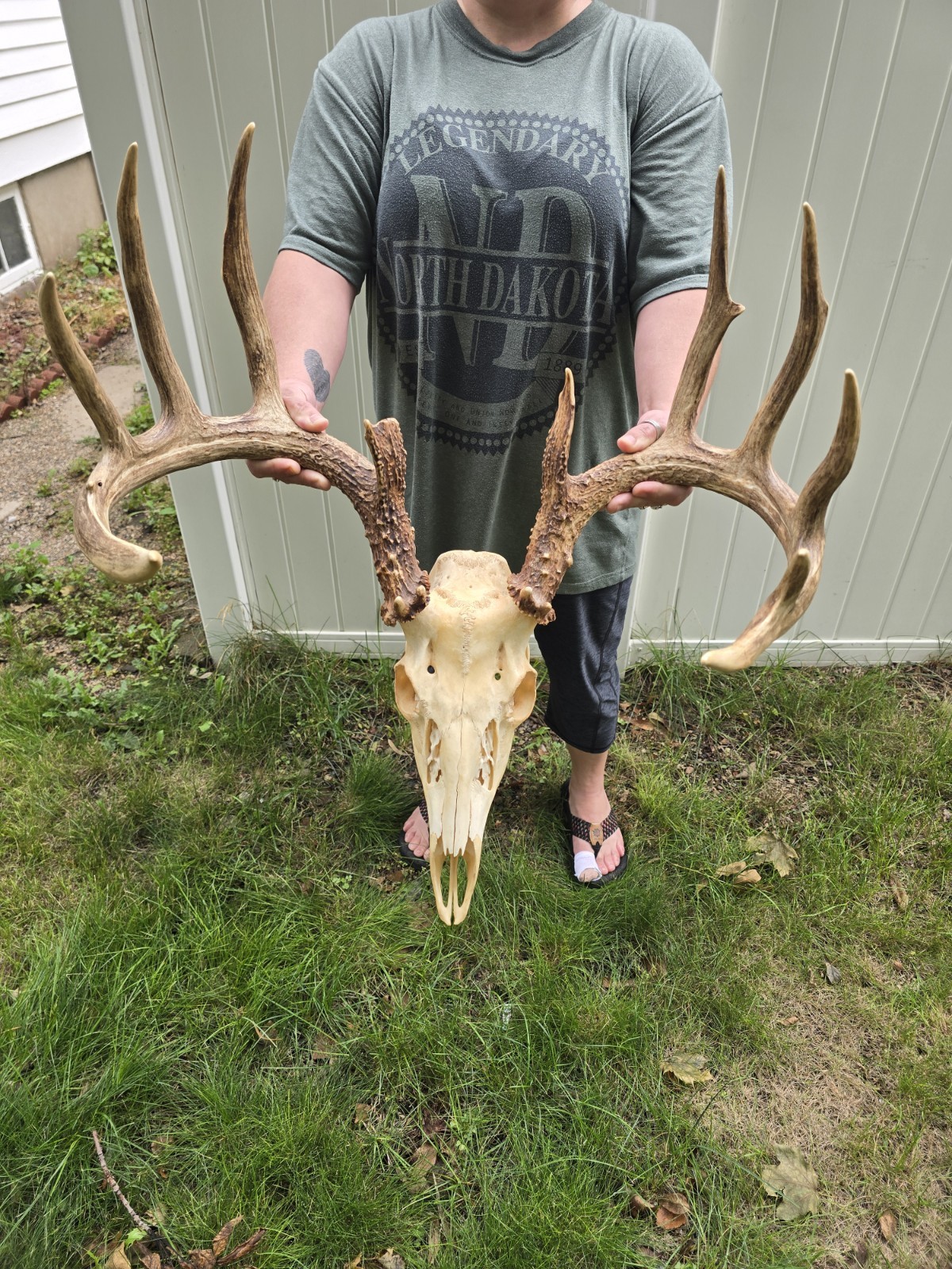 Wild 14 point 170-4\