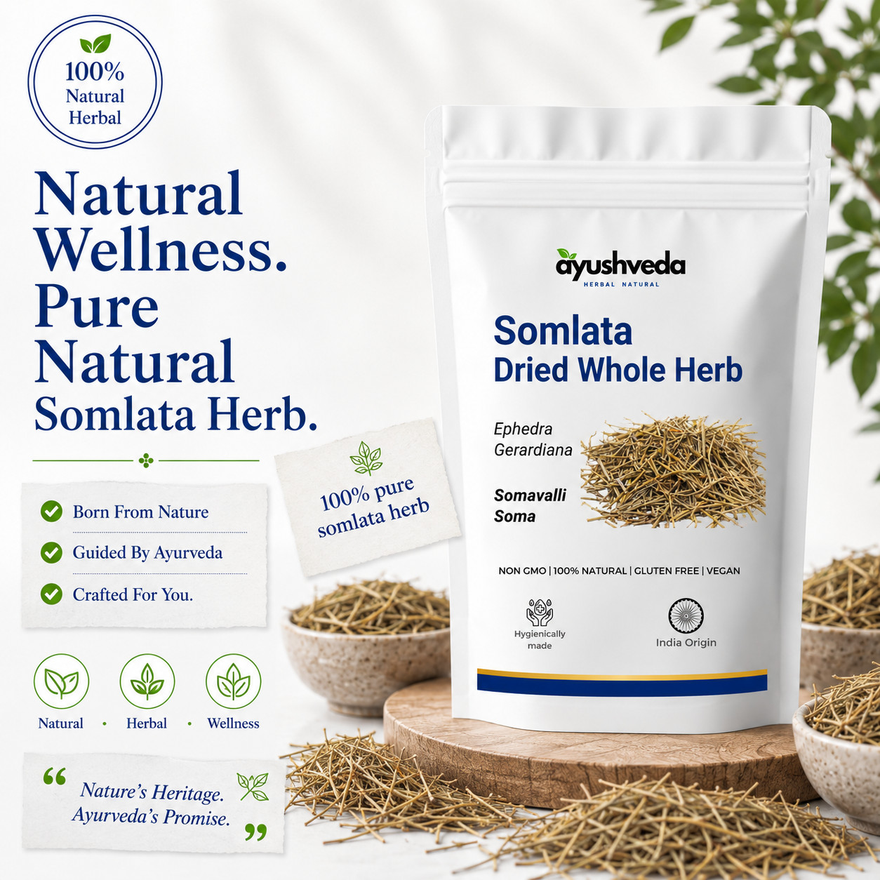 Somlata Dried Herb 100g-Ayurvedic Herb | Himalayan Somvalli Somlata Dried Herb 100g-Ayurvedic Herb | Himalayan Somvalli
