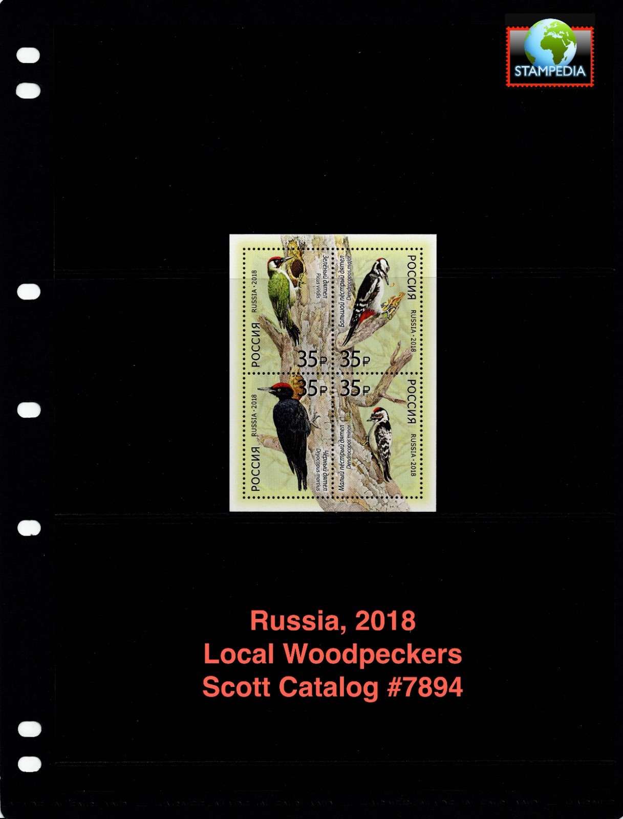 $9.00 Scott Value - 2018 RUSSIA Woodpeckers s/s Birds Wildlife CV MNH NH UMM