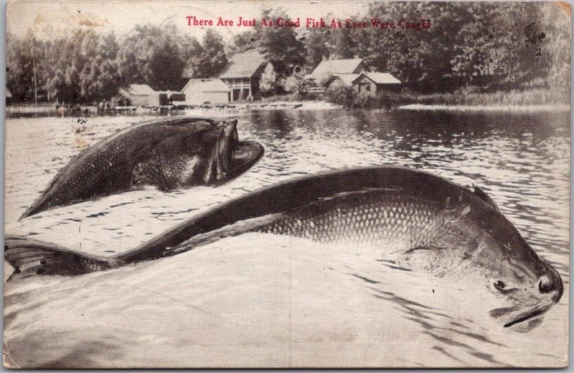 1912 FISHING Exaggeration Postcard \