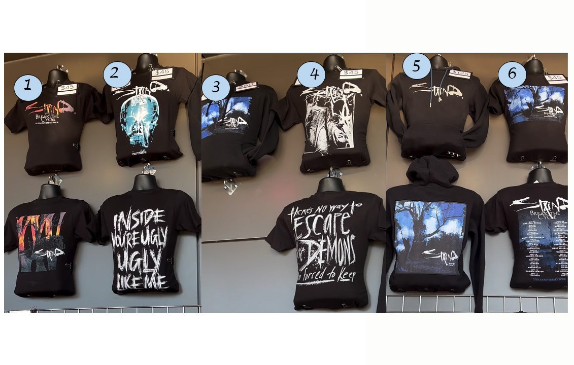 Staind Concert Shirt Hoodie Break The Cycle 25th Anniversary Tour Merch Reprint