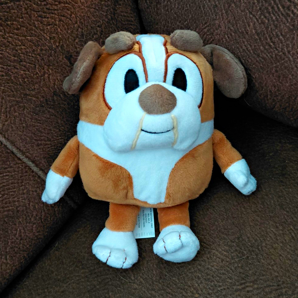 Winton From Bluey Winton From Bluey