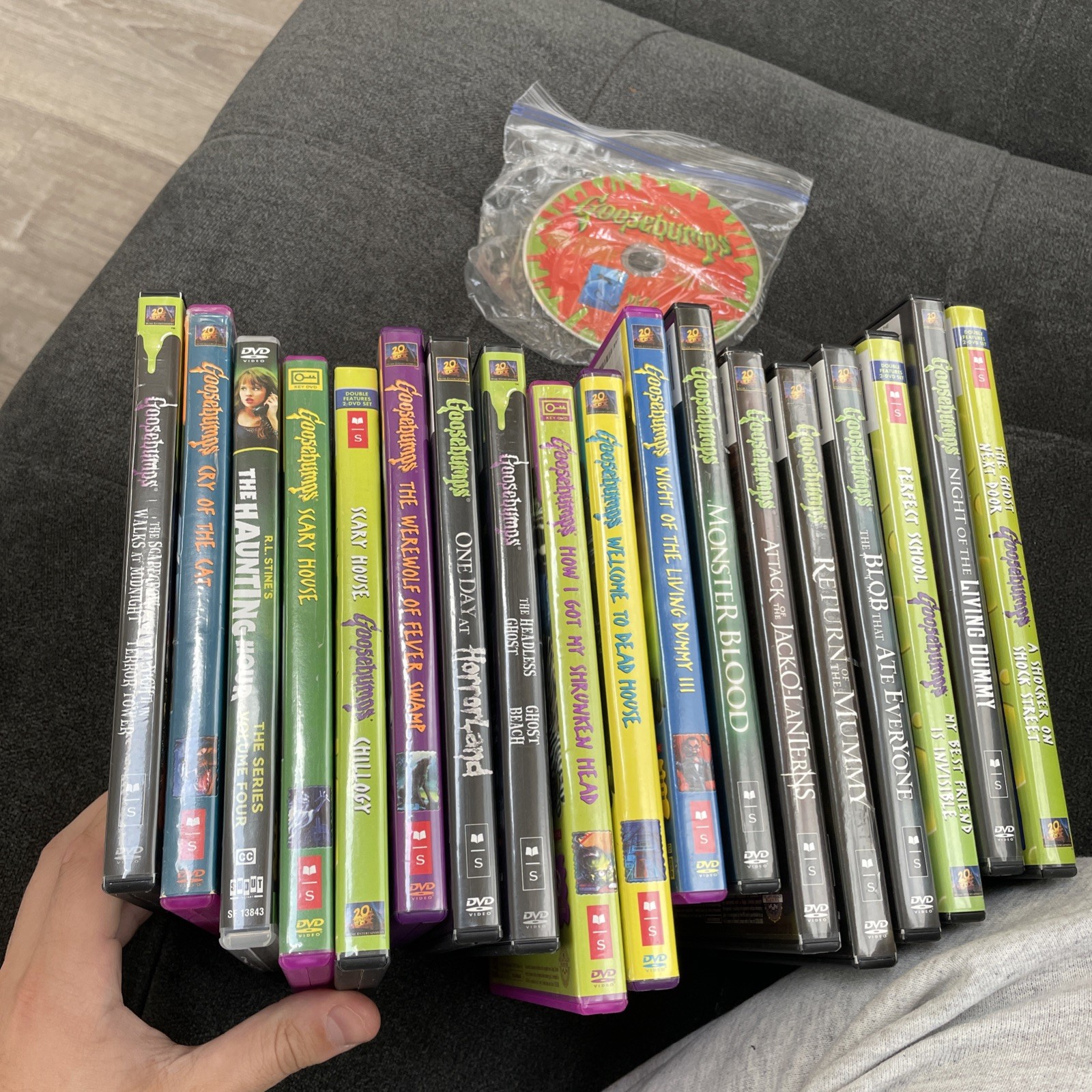Goosebumps DVD Lot Collection Of 24 R.L. Stine Horror TV Series 🔥 Goosebumps DVD Lot Collection Of 24 R.L. Stine Horror TV Series 🔥