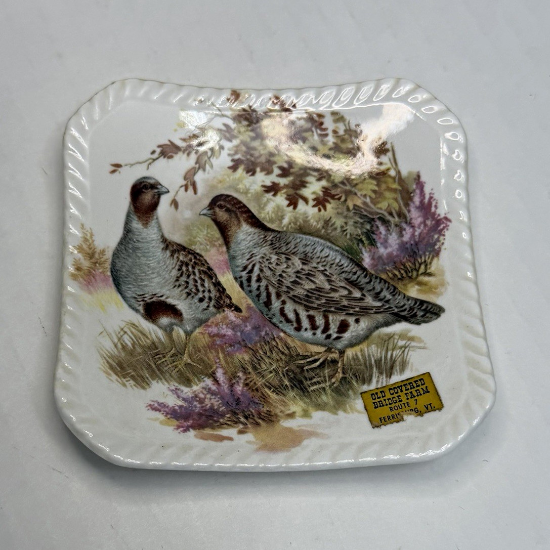 VTG Royal Adderley Bone China Game Birds Square Plate 4\