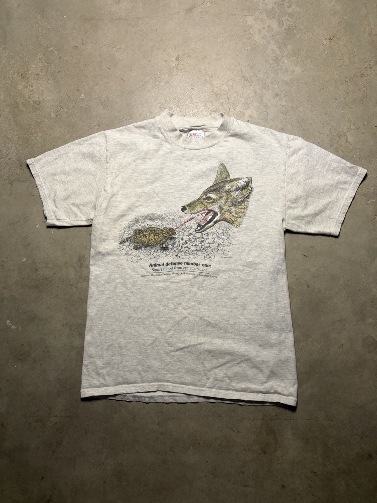 Vintage 1997 Museum Of National History Horned Lizard Graphic Nature Tee Shirt M
