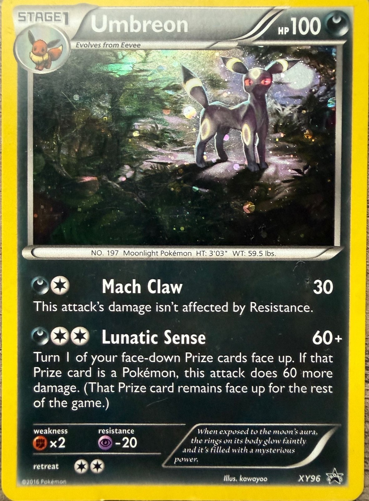 Pokemon Umbreon XY96 Promo Holo Card