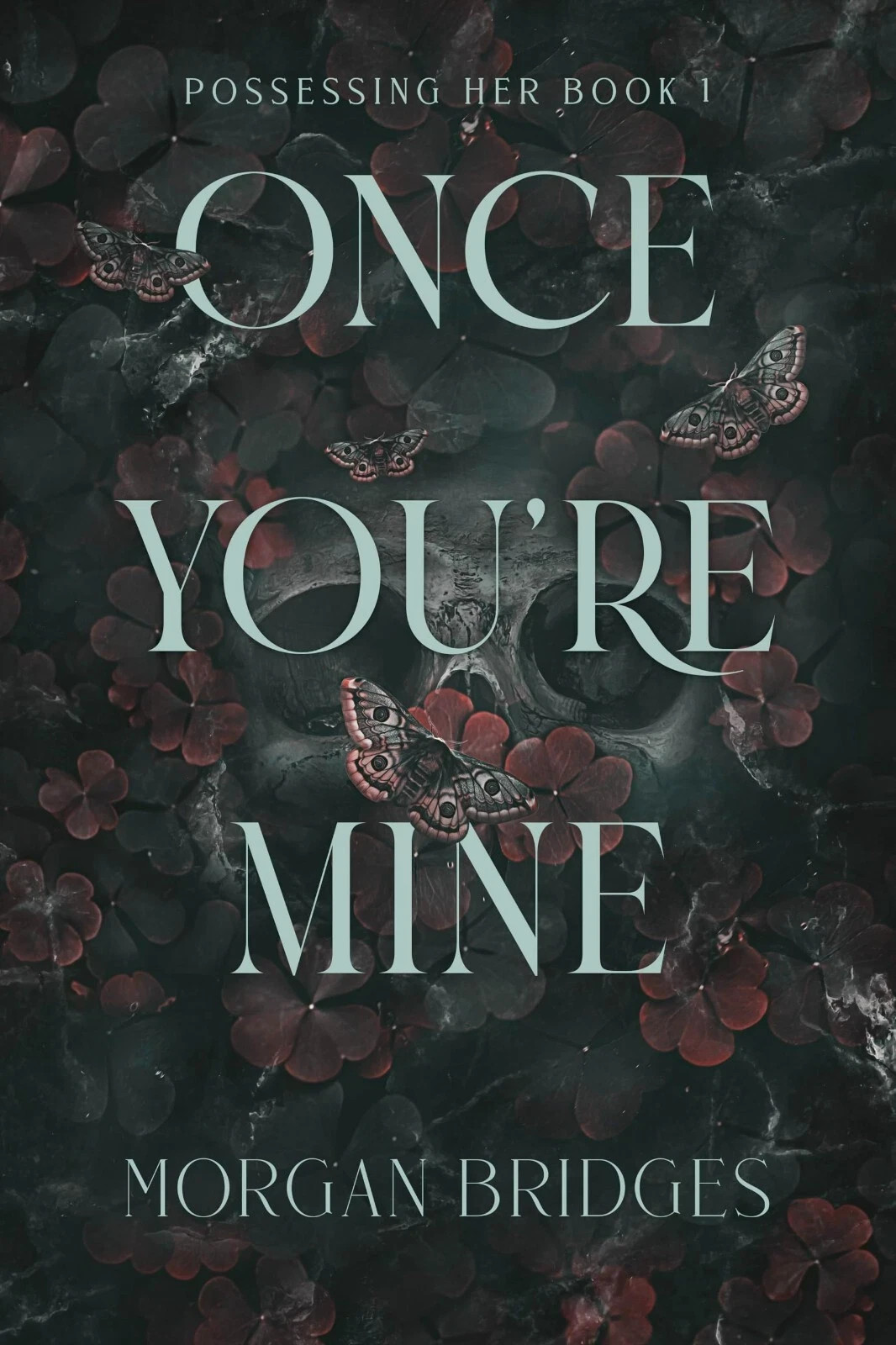 Once You\'re Mine: Possessing Her, Book 1 Paperback Once You\'re Mine: Possessing Her, Book 1 Paperback