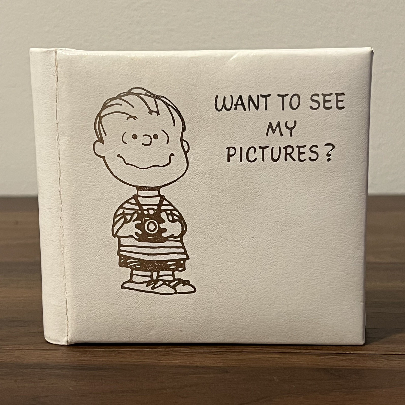 Vtg 1967 Hallmark Peanuts Photo Album Linus Want To See My Pictures CLEAN - EUC