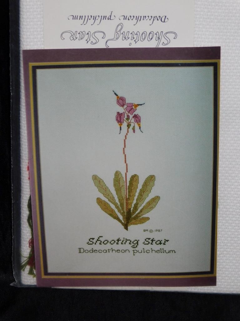 Alaska Shooting Star Pink Wild Flower Cross Stitch Kit NEW Hillside Designs Vtg