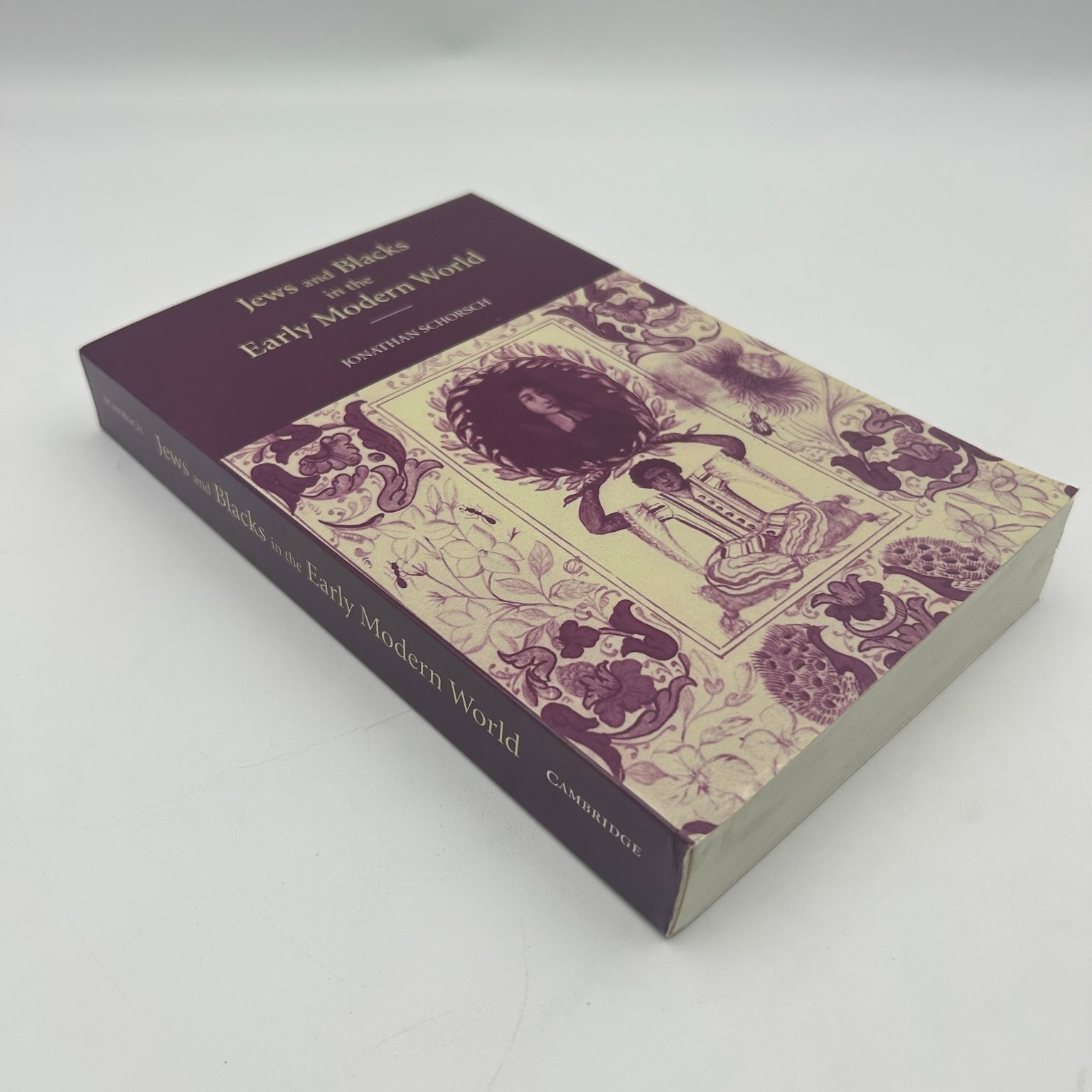 Jews and Blacks Early Modern World Jonathan Schorsch 2009 First Paperback Jews and Blacks Early Modern World Jonathan Schorsch 2009 First Paperback