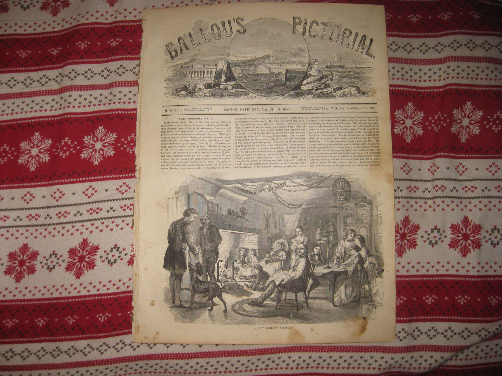 ANTIQE 1855 NEW ENGLAND FIRESIDE VICTORIAN ART PRINT DOG CAT FAMILY BIRD PET NR