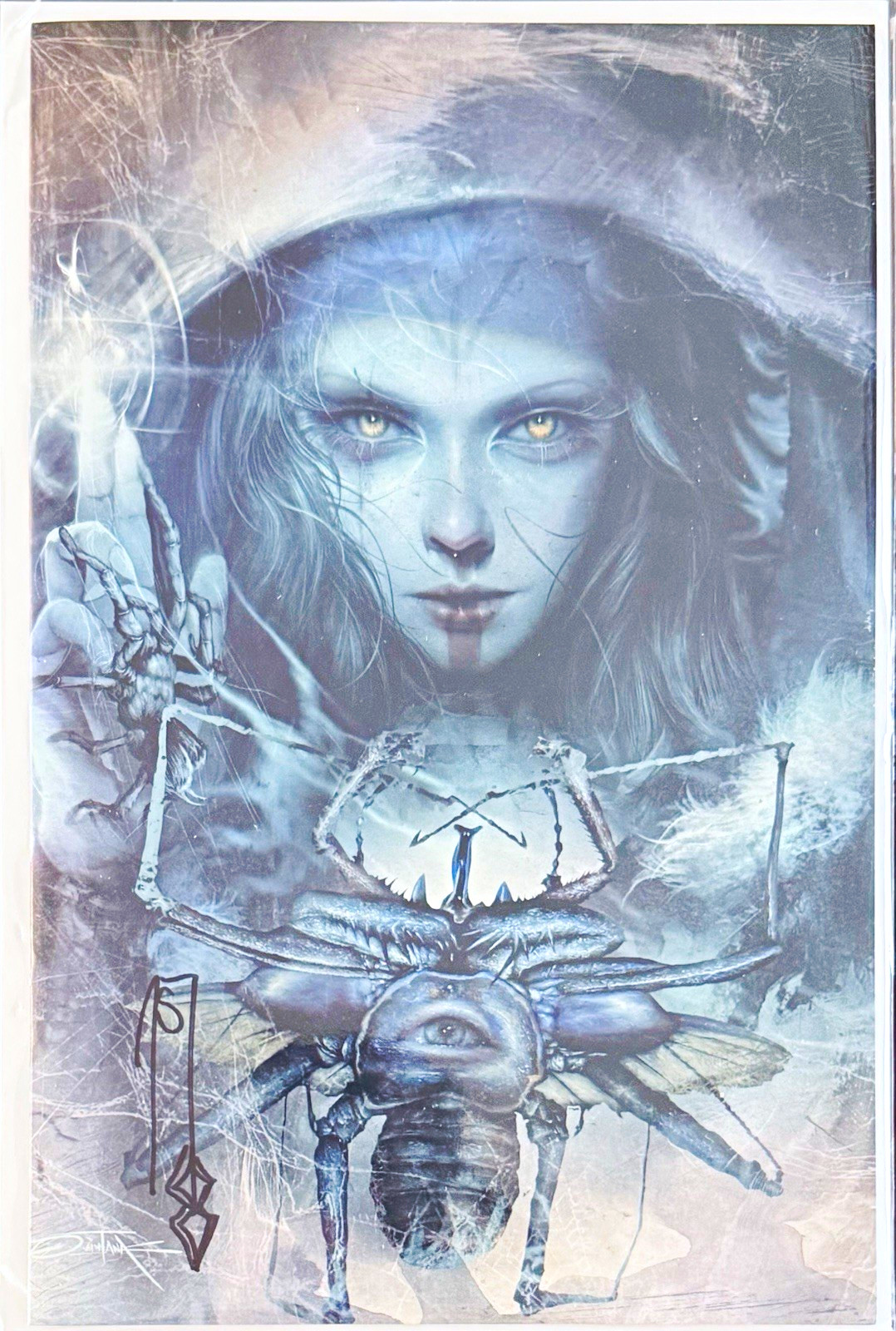 We Don’t Kill Spiders 2026 Virgin Quintana. Signed & Remarked Schmalke COA We Don’t Kill Spiders 2026 Virgin Quintana. Signed & Remarked Schmalke COA