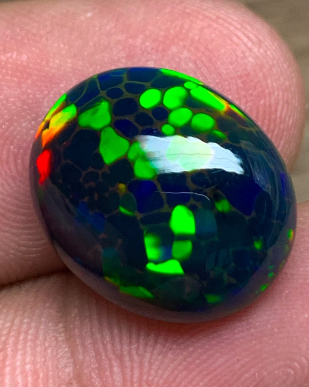 Honeycomb Black Ethiopian Opal 6.35 Carats Oval Cabochon having Rainbow Fire
