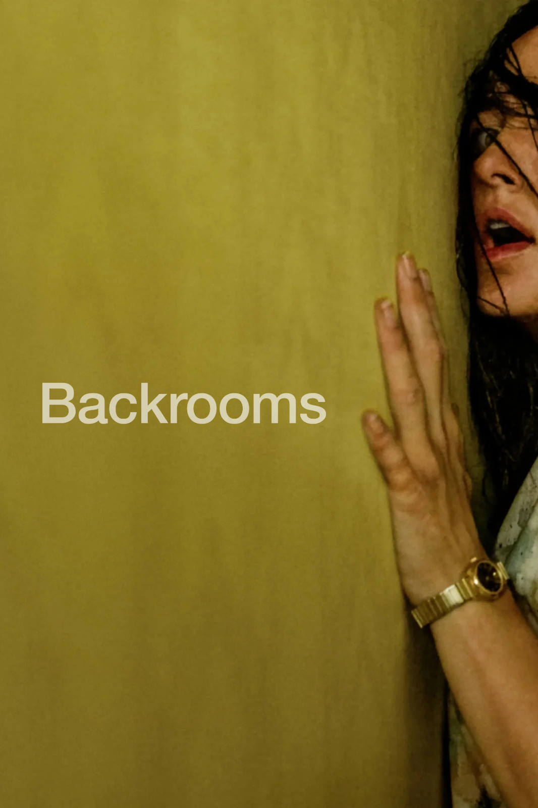 backrooms dvd (unsealed) backrooms dvd (unsealed)